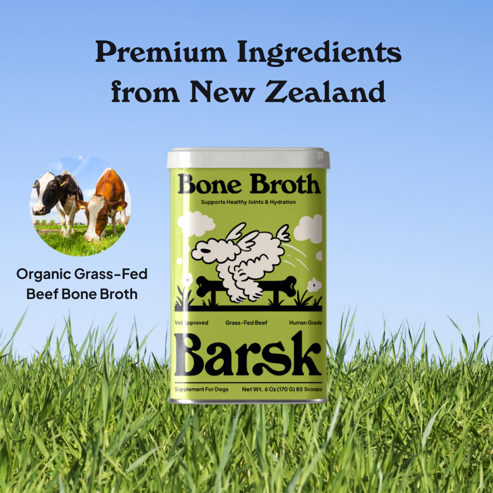 Bone Broth