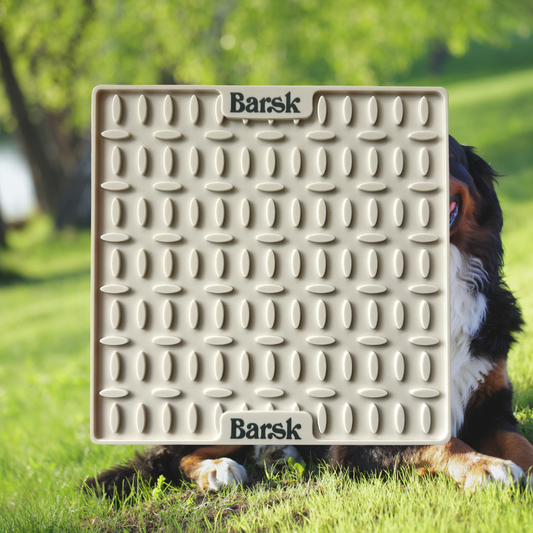 Barsk Lick Mat